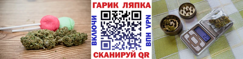 shop Telegram  Ельня  Canna-Cookies конопля 